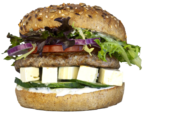 Born To Run1 Big Removebg Preview (2)